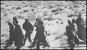Axis prisoners marching to the rear
