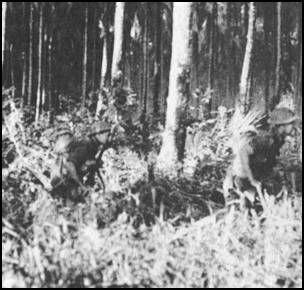 Australian troops move through New Guninea jungle
